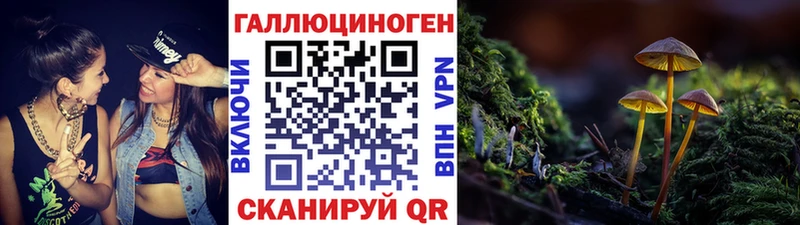 где продают наркотики  Няндома  Псилоцибиновые грибы Cubensis 